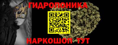 бошки Будённовск