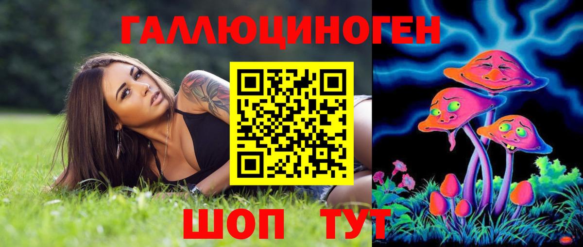 Михайловск  Галлюциногенные грибы Psilocybine cubensis  Вход с VPN 